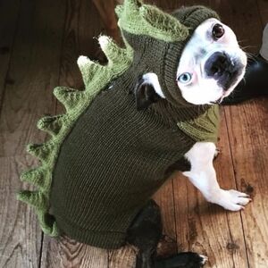 DOG SWEATER costume PERUVIAN TRADING CO handmade One Of A Kind New Halloween